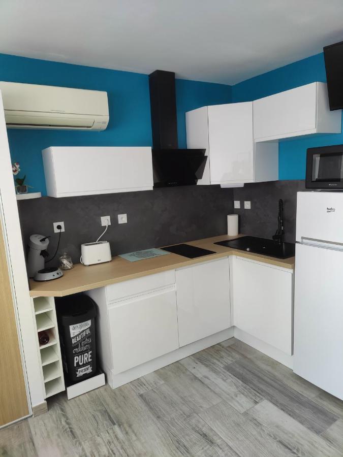 Studio Climatise 50 M.Du Port Saint-Cyprien (Pyrenees-Orientales) Exterior foto