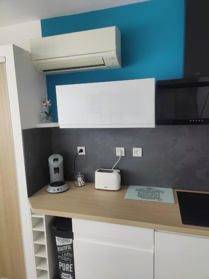Studio Climatise 50 M.Du Port Saint-Cyprien (Pyrenees-Orientales) Exterior foto