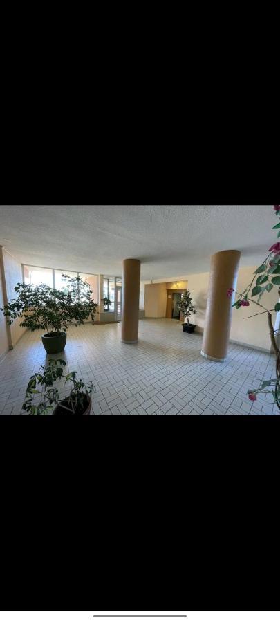 Studio Climatise 50 M.Du Port Saint-Cyprien (Pyrenees-Orientales) Exterior foto